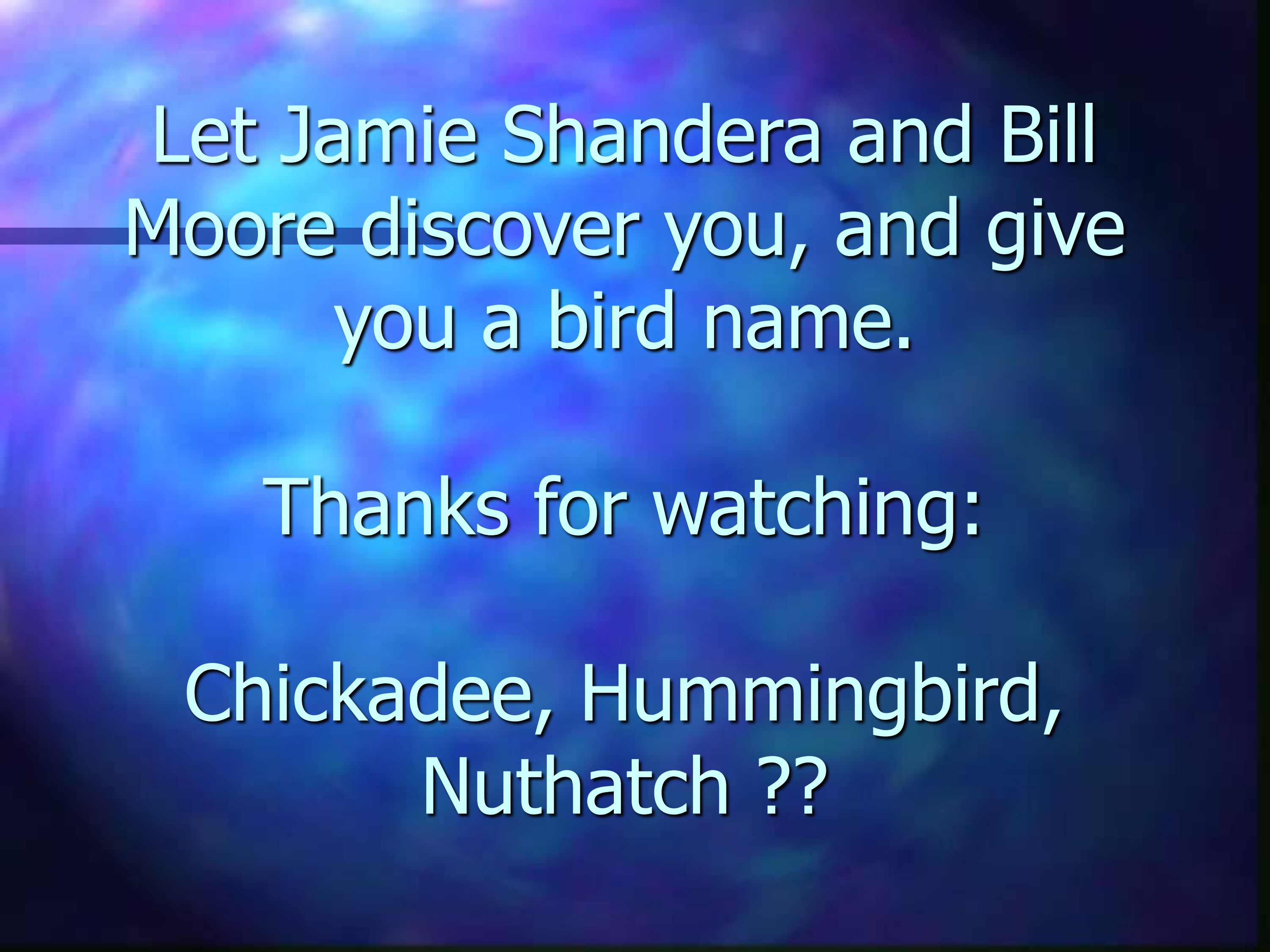Aviary-43