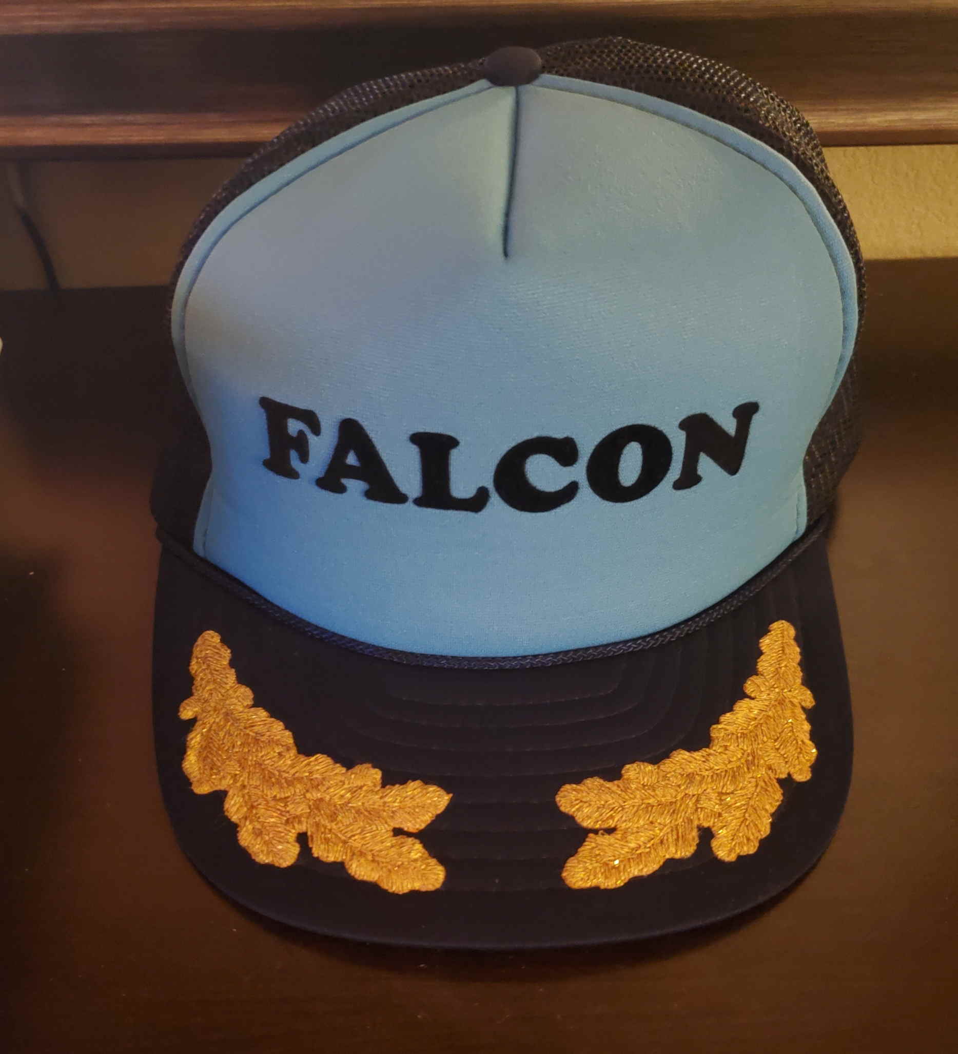 Falcon Hat Outside - Copy